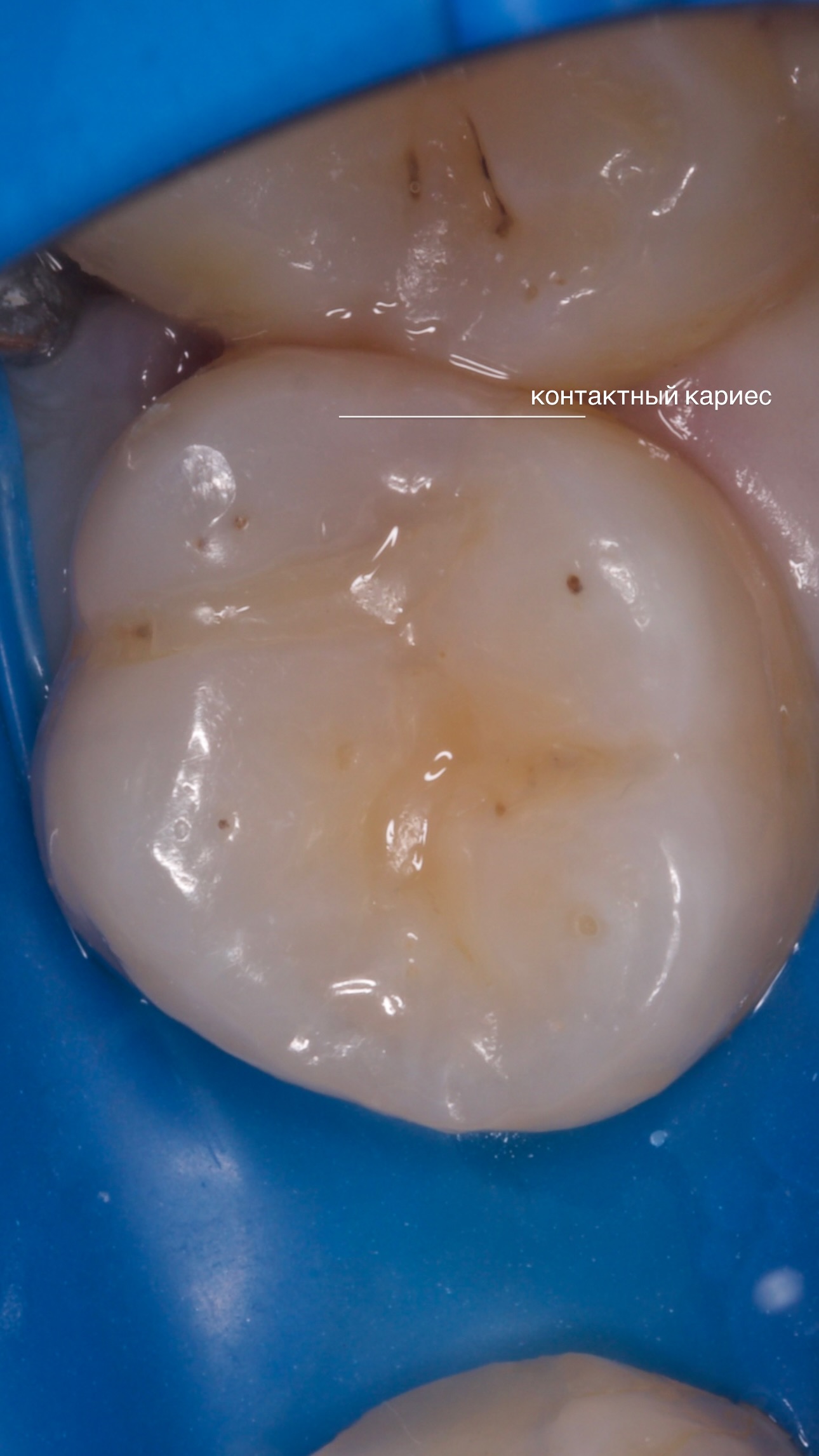 Работа клиники