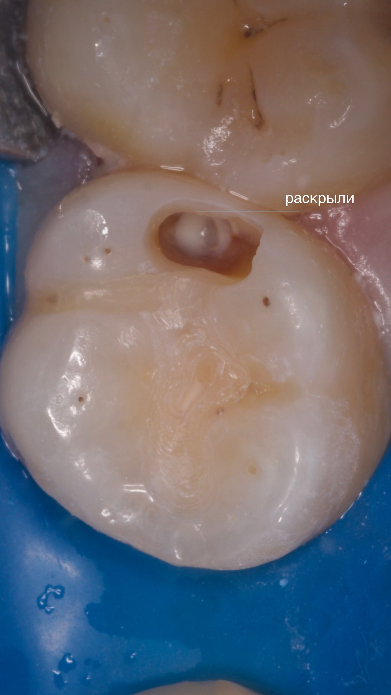 Работа клиники